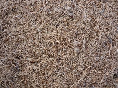 futon vrstvy kokosoveho vlakna